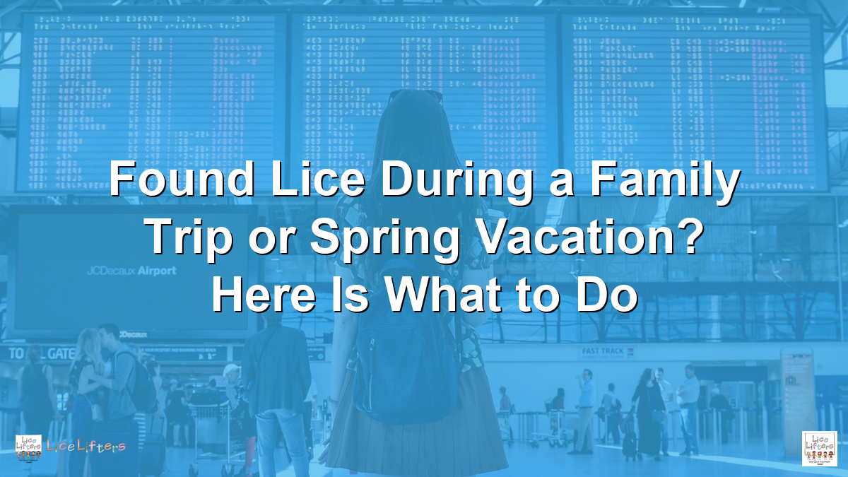 Found Lice During a Family Trip or Spring Vacation? Here Is What to Do