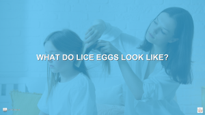 Parent checking child's hair for what lice eggs look like in Silver Spring, Maryland