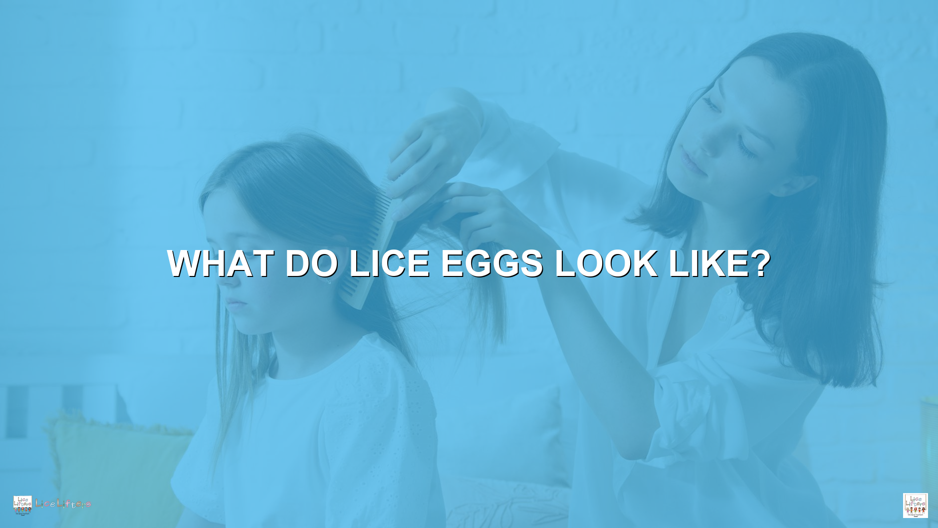 Parent checking child's hair for what lice eggs look like in Silver Spring, Maryland