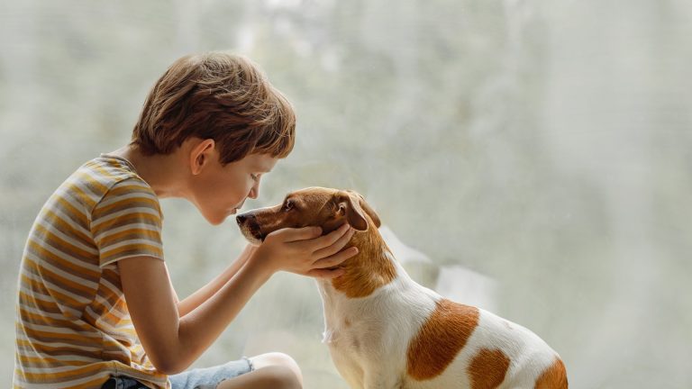 Can Dogs and Cats Get Head Lice From People?