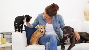 Can Dogs and Cats Get Head Lice From People?