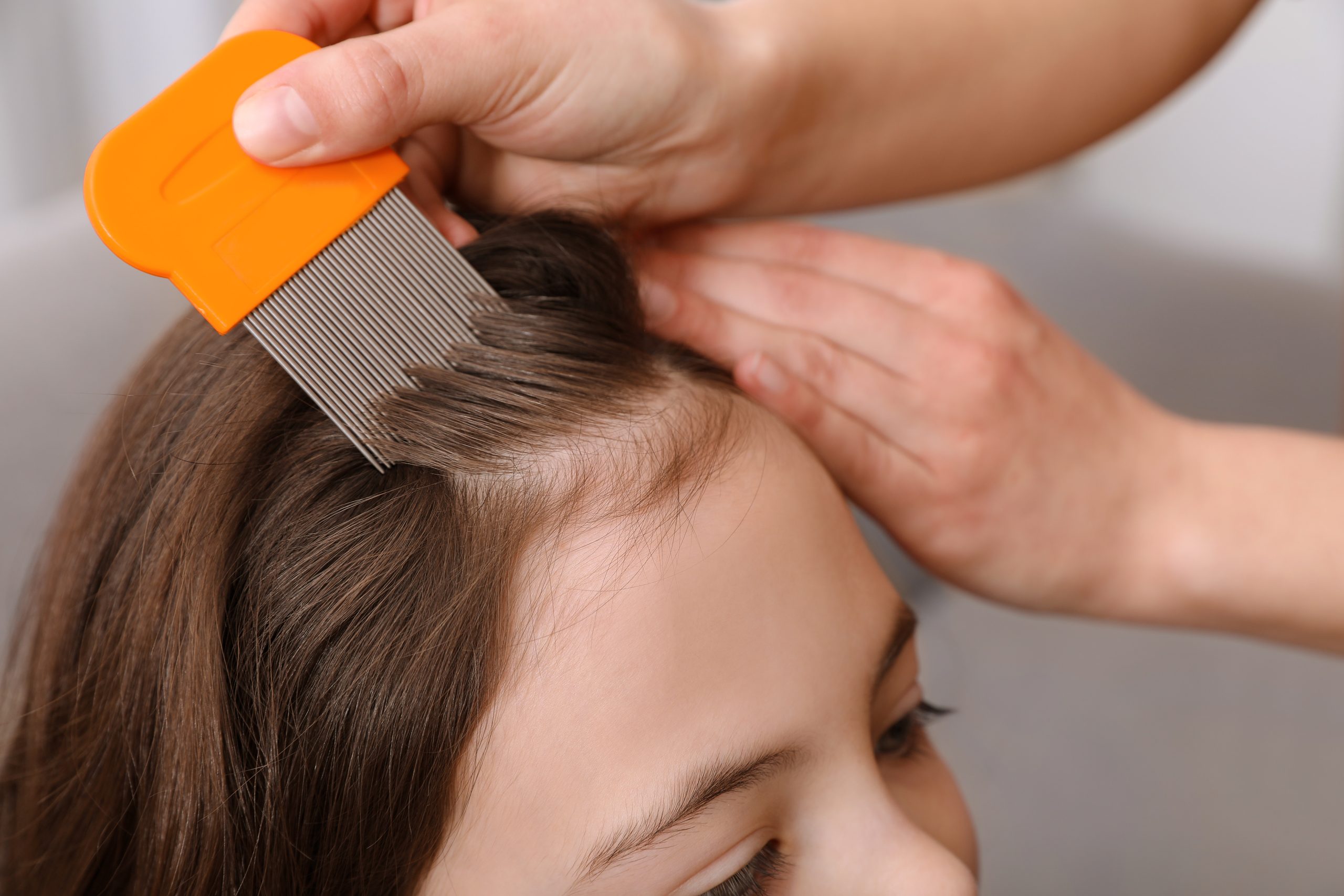 Parent carefully combing a child's damp hair with a fine nit comb at home during a nighttime lice comb-out