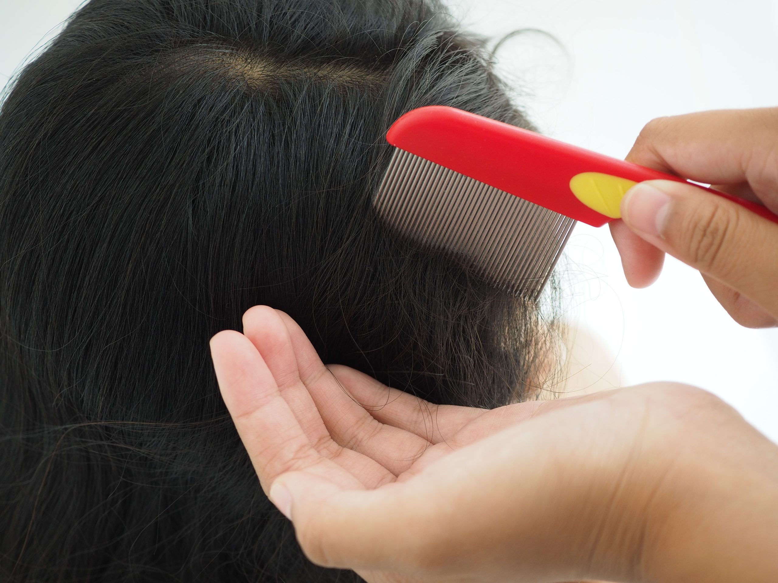 Mother checking a child's hair with a lice comb before school season