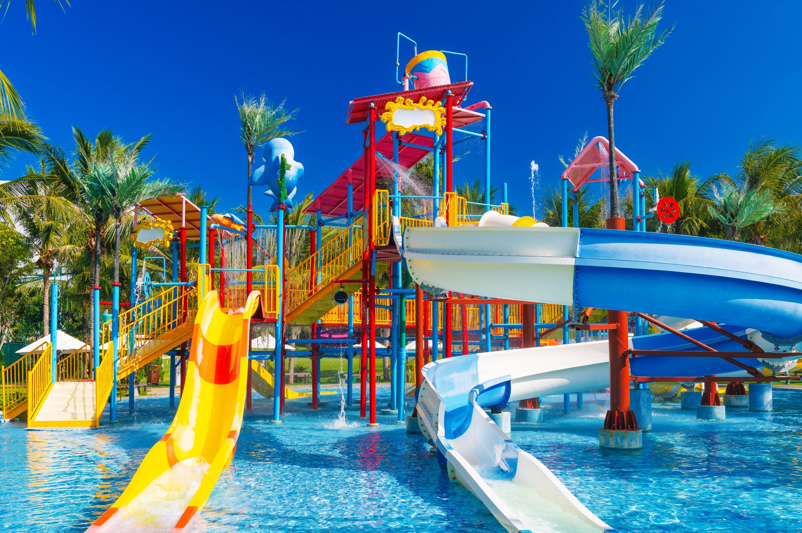 Waterpark slides and pool for a lice and waterparks article