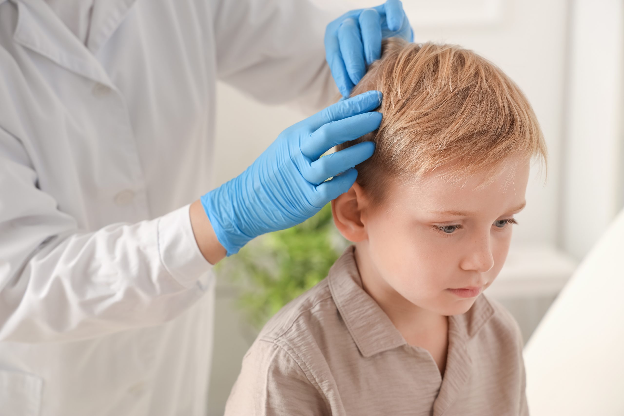 Buyer?s Guide: Best Lice Removal Services in Rockville featured image