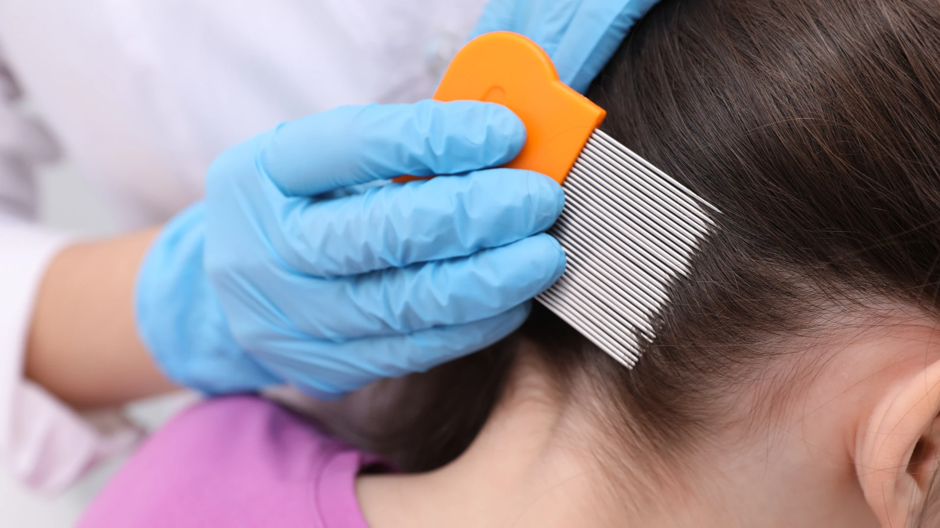 A blue-gloved hand drawing an orange fine-tooth comb through dark hair near an ear.