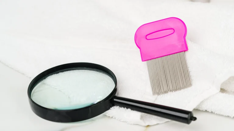 How to read the paper towel after a lice comb-out